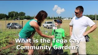 FORT MILL COMMUNITY GARDEN SHARING FOOD & FAITH