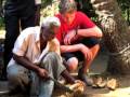 Cross-Cultural: Study Abroad and So Much More!