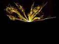 Shiryu - Makers (Gold)
