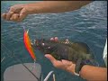 Yap & Palau Sport Fishing Part 2