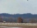 Cranes On the Ground