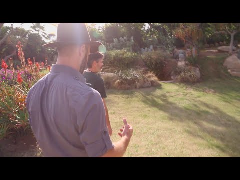 YouTube reptile video