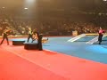 Puzzle and Zephyr Race - Superdogs 2008