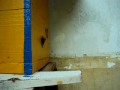 Video abelha Jatai..avi