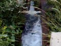 Julian Waterfall Julian Waterfall