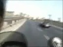 triumph tiger