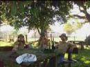 Xispa Divina - Sons da Floresta