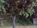 بعدسة المعذور بعدسة المعذور