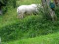 videos de vacances with typhen 062.avi