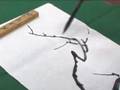 pam drawing (Chinese Painting)
