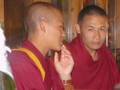 videos de La journée d'un moine tibétain éxilé à Dharamsala