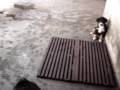 videos de Leeta se acostumando com a casa