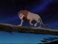 Lion King - Red ragtop