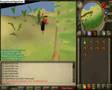 Jungle potion Quest guide