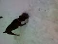 dogs snow day