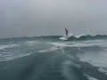 longboard baleia longboard baleia