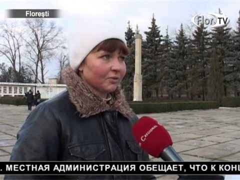 Установлена главная городская елка