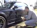 Optimum No Rinse Wash Mustang Cobra