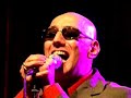 G.Palma & the Bluebeaters - \"Come le viole\"