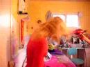 blowdryer