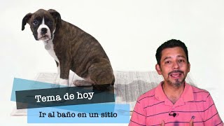 51 - Ir al baño en en un solo sitio. 51 - Ir al baño en en un solo sitio.