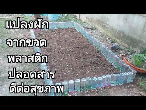 ขวดน้ำพลาสติกกินหมดแล้วอย่าทิ้งทำแปลงผักปลอดสารไว้กินดีต่อสุขภาพ