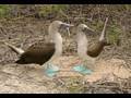 Reiseberichte - Ecuador & Galapagos Inseln