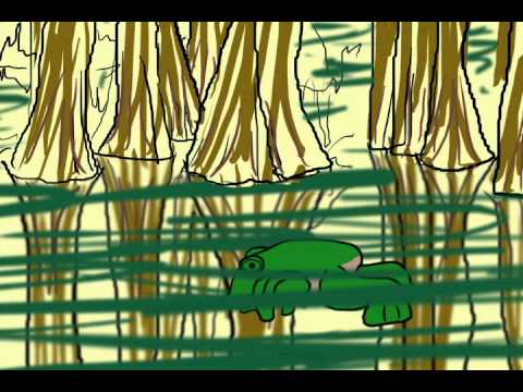 Large Mouth Frog Video