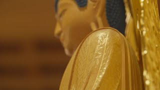 動画のサムネイル
