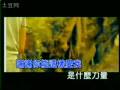 张宇-长长久久
