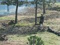 video bitka, ki je ni bilo