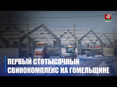 Строительство свинокомплекса на сто тысяч голов продолжается в Гомельском районе