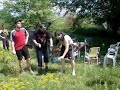 VILLAGE IDIOTS CREW - COCTAIL PARTY