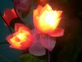 Singing flower