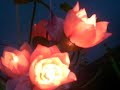 Singing flower