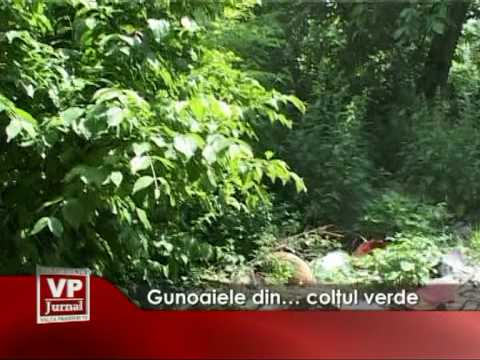 Gunoaiele din… colţul verde
