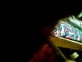 luz sin gravedad