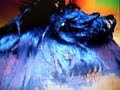 From blond to blue and violet