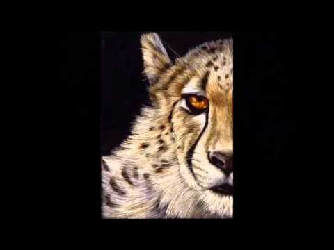 Imatge de previsualització de YouTube