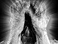 Click here to watch this video Rêve de Zarathustra