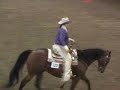 westernriding agneta