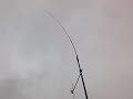 Antron 99 in the wind