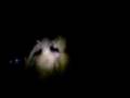 videos de seeger kaio kampouris toumpano se partaki pou kaname se mia paralia  kai to oreo tragoudi pinw mpafous kai paizw pro
