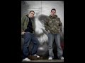 Original Sin - ??? Original Sin - ???