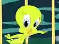 Kaspar Cat vs Tweety Pie Kaspar Cat vs Tweety Pie