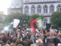 vsc festa 8