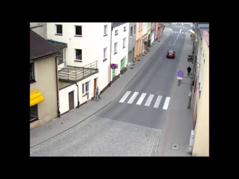 Chciał przejechać kota, stracił prawko