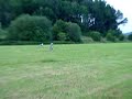Coursing with Irish Wolfhound