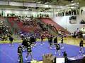 BTB Bulldogs 1116