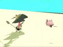 pig beach